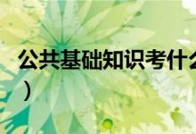 公共基础知识考什么（公共基础知识考试范围）
