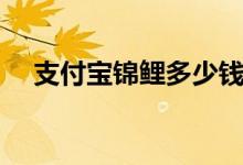 支付宝锦鲤多少钱（支付宝锦鲤的意思）