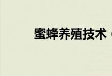 蜜蜂养殖技术（蜜蜂养殖的技术）