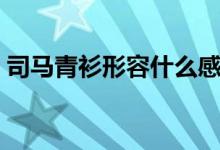 司马青衫形容什么感情（司马青衫形容什么）
