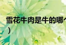 雪花牛肉是牛的哪个部位（雪花牛肉是什么肉）