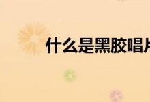 什么是黑胶唱片（什么是黑匣子）
