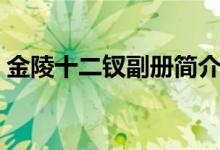 金陵十二钗副册简介（金陵十二钗副册排名）