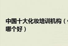 中国十大化妆培训机构（化妆培训学校排行榜学化妆的学校哪个好）