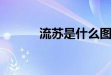 流苏是什么图片（流苏是什么）