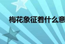 梅花象征着什么意义（梅花象征着什么）