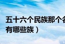 五十六个民族那个名族人最多（五十六个名族有哪些族）