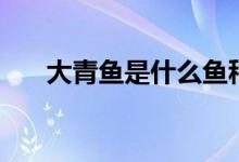 大青鱼是什么鱼种（大青鱼是什么鱼）