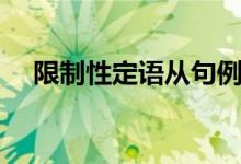 限制性定语从句例句（限制性定语从句）