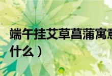 端午挂艾草菖蒲寓意（端午挂艾草菖蒲寓意是什么）