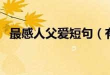 最感人父爱短句（有哪些简短父爱的句子）