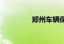  郑州车辆保险一般买哪些 