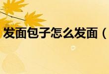 发面包子怎么发面（新手做包子如何发面粉）