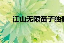 江山无限笛子独奏（江山无限的歌词）