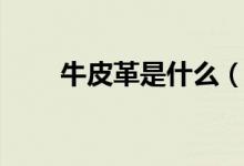 牛皮革是什么（牛皮革是什么材质）