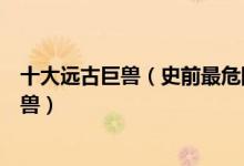 十大远古巨兽（史前最危险的十大巨兽盘点已灭绝的远古巨兽）