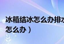 冰箱结冰怎么办排水口早就堵塞了（冰箱结冰怎么办）