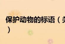 保护动物的标语（关于保护动物的标语有哪些）