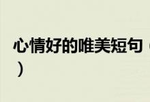 心情好的唯美短句（心情好的唯美短句有哪些）