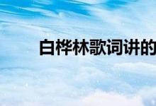 白桦林歌词讲的故事（白桦林歌词）