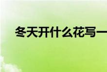 冬天开什么花写一段话（冬天开什么花）