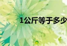 1公斤等于多少克（1公斤有几克）