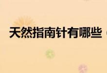 天然指南针有哪些（大自然有什么指南针）