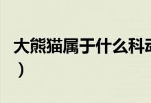大熊猫属于什么科动物（大熊猫是什么类动物）