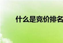 什么是竞价排名（什么是竞技体操）