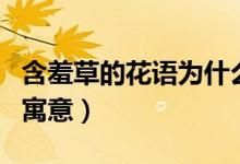 含羞草的花语为什么是忏悔（含羞草的花语和寓意）