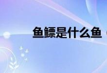 鱼鳔是什么鱼（鱼鳔是什么东西）