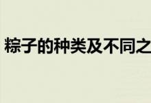 粽子的种类及不同之处（粽子的种类有哪些）