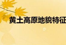 黄土高原地貌特征（黄土高原地貌特点）