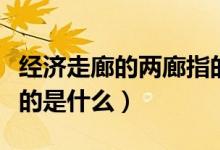 经济走廊的两廊指的是（贸易中的两廊一圈指的是什么）