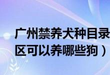 广州禁养犬种目录（这36种狗不能养广州市区可以养哪些狗）