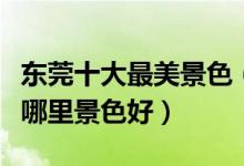 东莞十大最美景色（东莞风景最美的地方东莞哪里景色好）