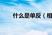 什么是单反（相机分为单反和什么）