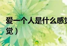 爱一个人是什么感觉语录（爱一个人是什么感觉）