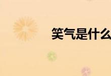 笑气是什么（什么是笑气）
