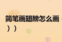 简笔画翅膀怎么画（简笔画翅膀怎么画（图文））