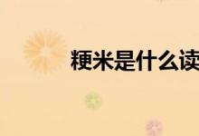 粳米是什么读音（粳米是什么）