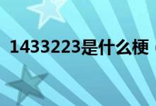1433223是什么梗（1433223是什么意思）