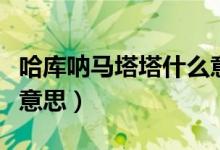 哈库呐马塔塔什么意思（哈库呐玛塔塔是什么意思）