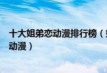 十大姐弟恋动漫排行榜（好看的姐弟动漫推荐有什么姐弟恋动漫）