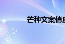 芒种文案俏皮话（芒种文案）