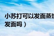 小苏打可以发面蒸馒头吗（蒸馒头能用小苏打发面吗）