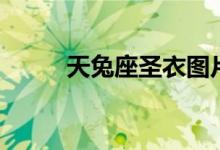 天兔座圣衣图片（天兔座是什么）