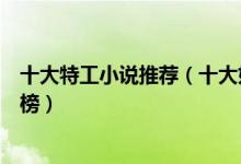 十大特工小说推荐（十大好看的特工小说热门谍战小说排行榜）