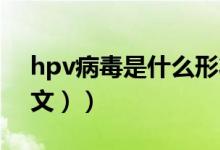 hpv病毒是什么形状（HPV病毒是什么（图文））