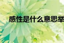 感性是什么意思举例（感性是什么意思）